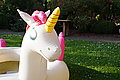 DSC04456_t.JPG