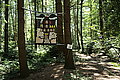 Bernhard Saalfeld - L1000809.JPG