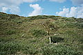 Bernhard Saalfeld - L1000874.JPG