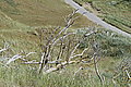 Bernhard Saalfeld - L1000881.JPG