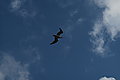 Bernhard Saalfeld - L1000908.JPG