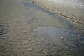 Bernhard Saalfeld - L1000966.JPG