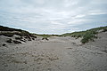 Bernhard Saalfeld - L1000971.JPG