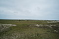 Bernhard Saalfeld - L1000973.JPG
