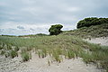 Bernhard Saalfeld - L1000985.JPG