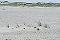 Bernhard Saalfeld - L1001020.JPG