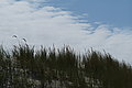 Bernhard Saalfeld - L1001038.JPG