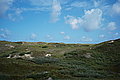 Bernhard Saalfeld - L1001077.JPG
