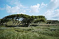 Bernhard Saalfeld - L1001079.JPG