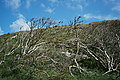 Bernhard Saalfeld - L1001080.JPG