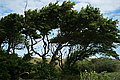 Bernhard Saalfeld - L1001156.JPG