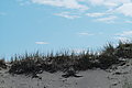 Bernhard Saalfeld - L1001162.JPG