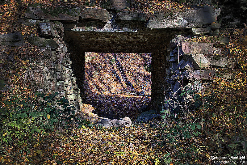 Bernhard Saalfeld - Steintor