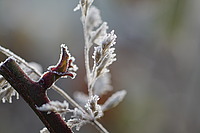 Bernhard Saalfeld - DSC00200.JPG