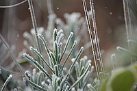 Bernhard Saalfeld - DSC00235.JPG