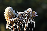 Bernhard Saalfeld - DSC00279.JPG