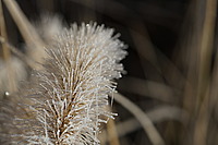 Bernhard Saalfeld - DSC00285.JPG
