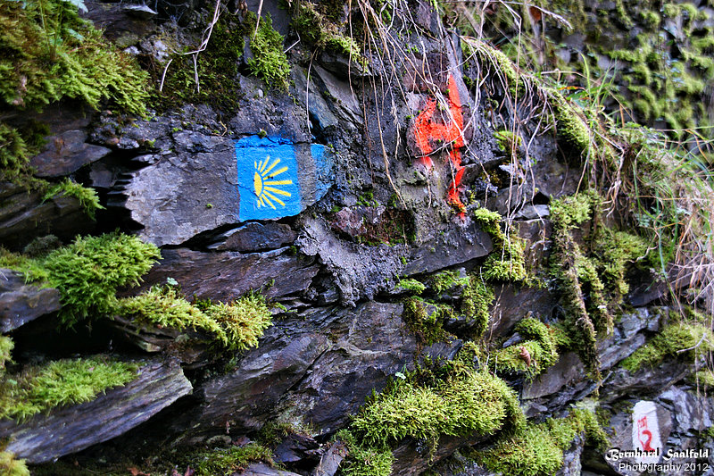 Bernhard Saalfeld - A1