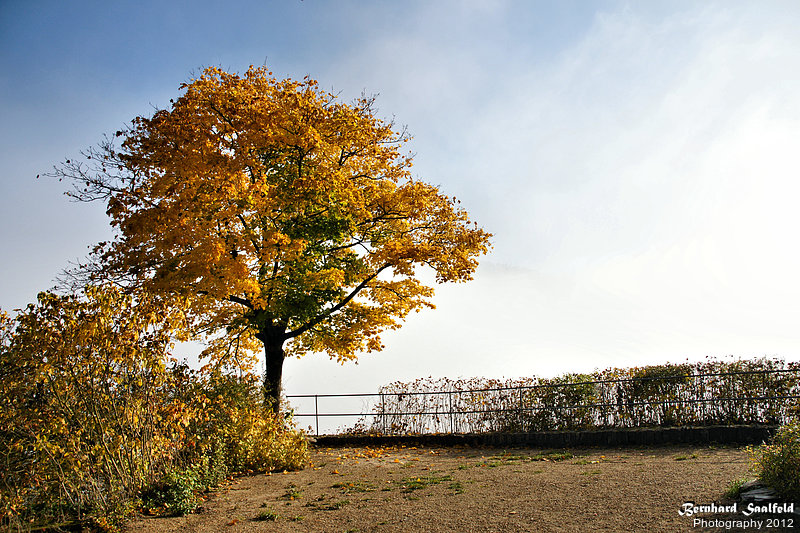 Bernhard Saalfeld - A3