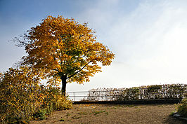 Bernhard Saalfeld - A3.jpg
