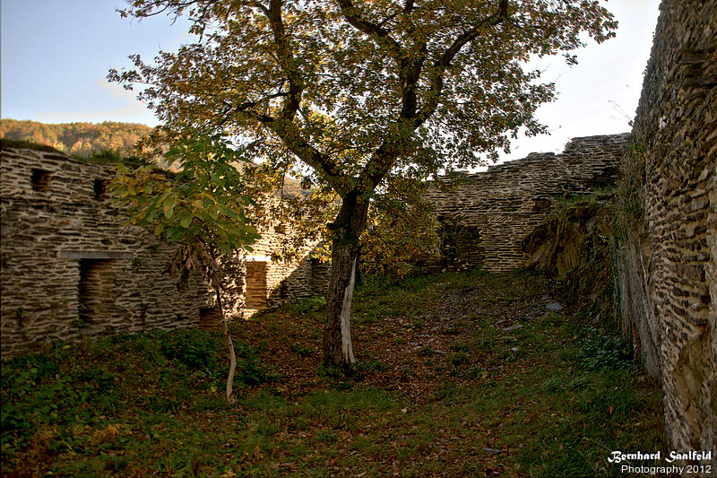 Bernhard Saalfeld - B2