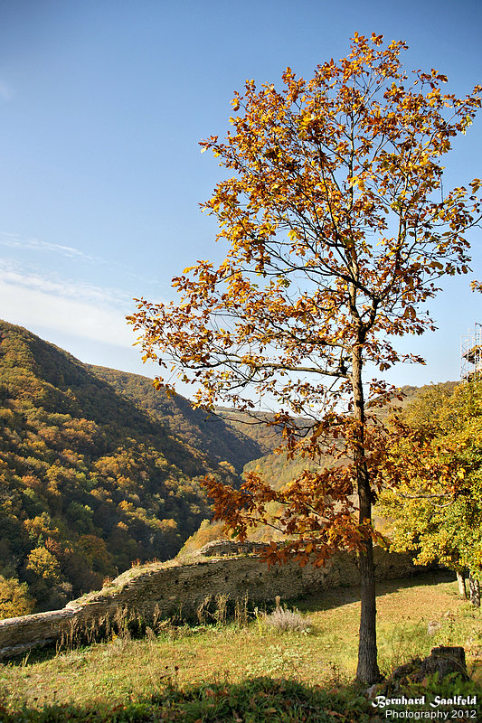 Bernhard Saalfeld - B3