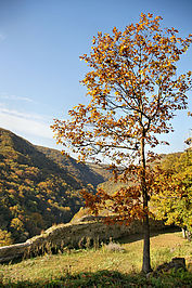Bernhard Saalfeld - B3.jpg