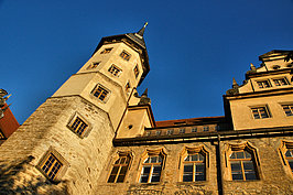 DSC07208_t.JPG