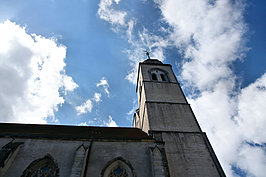 DSC07479_t.JPG