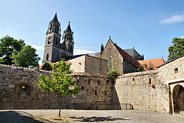 DSC07591_t.JPG