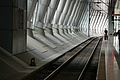 DSC06513_t.JPG