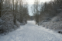 Bernhard Saalfeld - DSC03054.JPG