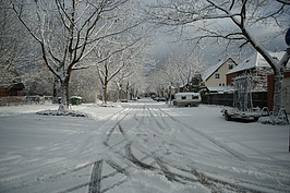 Bernhard Saalfeld - DSC03327.JPG