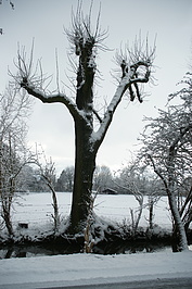Bernhard Saalfeld - DSC03338.JPG