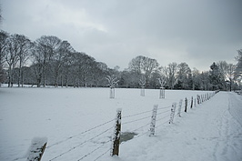Bernhard Saalfeld - DSC03347.JPG