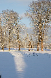 Bernhard Saalfeld - DSC08011.JPG
