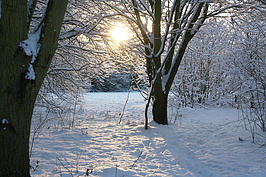 Bernhard Saalfeld - DSC08028.JPG