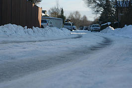 Bernhard Saalfeld - DSC07904_x.JPG