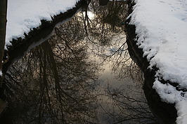 Bernhard Saalfeld - DSC07939.JPG