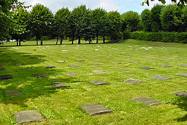 DSC01313_t.JPG