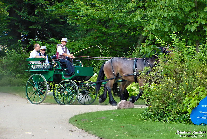 Bernhard Saalfeld - Branitzer Park