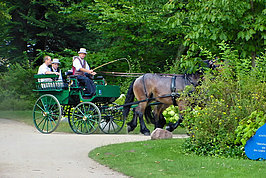 Bernhard Saalfeld - Branitzer Park