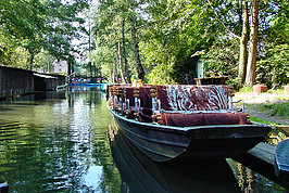 DSC01503_t.JPG