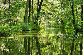 DSC01524_t.JPG