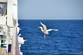 DSC01588_t.JPG