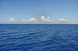 DSC01592_t.JPG