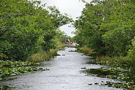 DSC01803_t.JPG