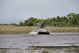 DSC01812_t.JPG