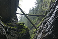 Bernhard Saalfeld - DSC09571.JPG