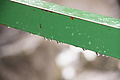 Bernhard Saalfeld - DSC09584.JPG